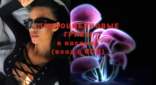 индика Майский