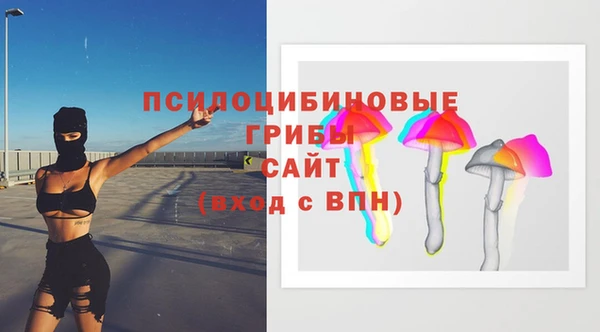 PSILOCYBIN Алапаевск