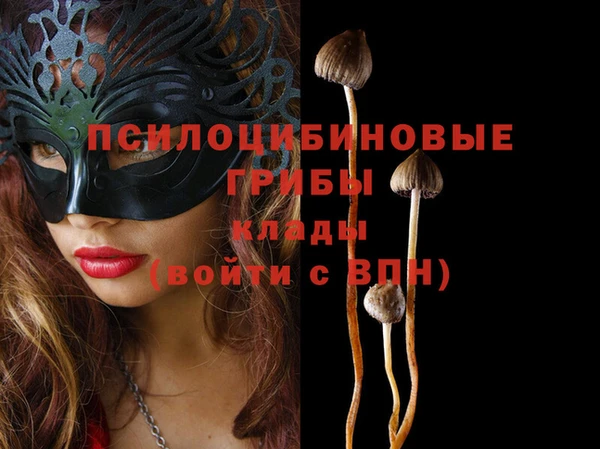 индика Майский