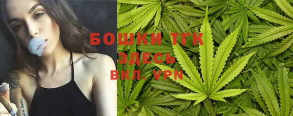 индика Майский