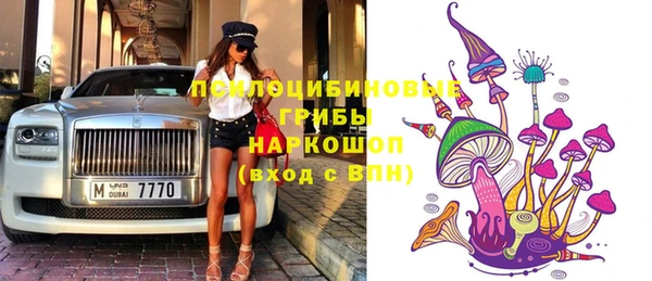 гидропоника Магас