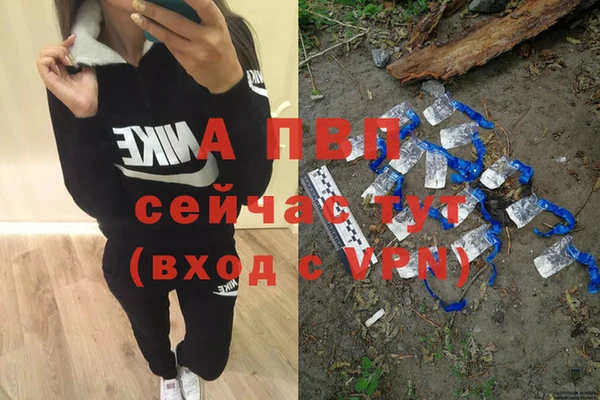 стаф Липки