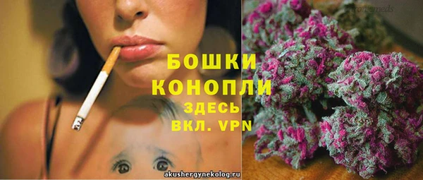 молекула духа Лихославль