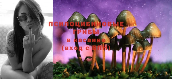 гидропоника Магас