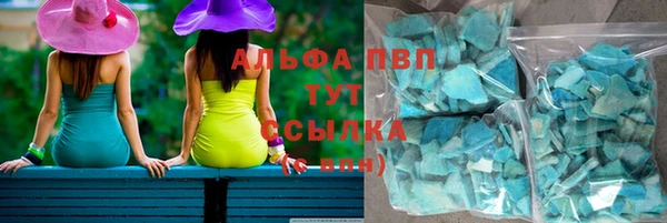 индика Майский