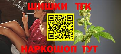 стафф Гусев
