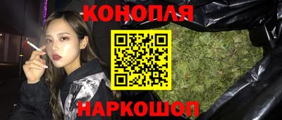 стафф Гусев