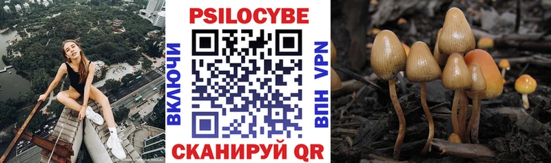 Галлюциногенные грибы MAGIC MUSHROOMS Сосновоборск