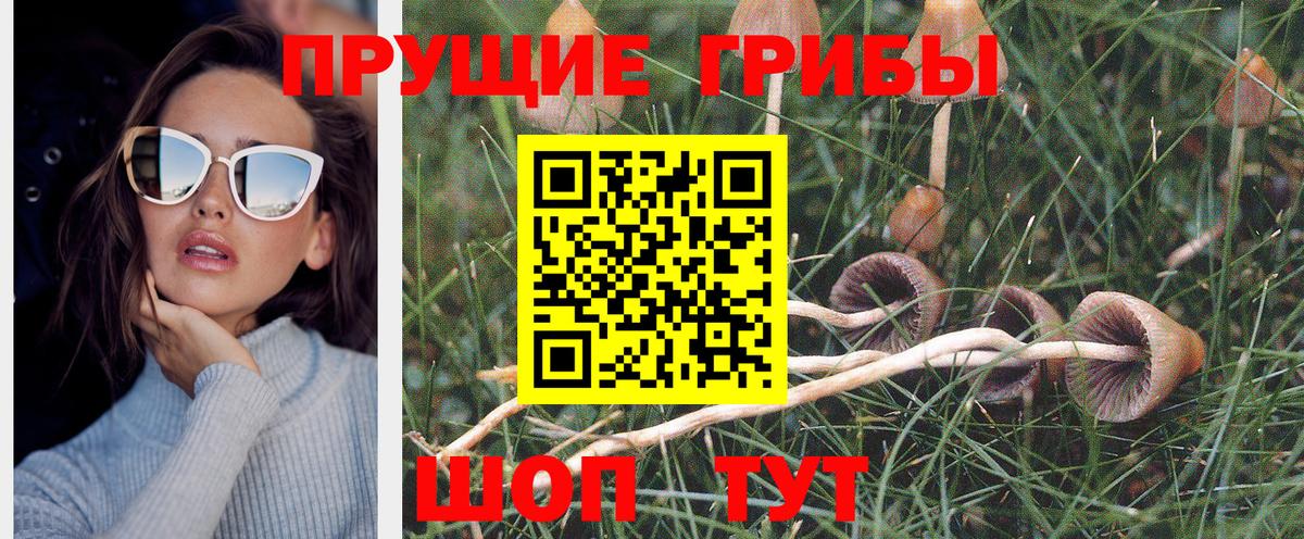 Псилоцибиновые грибы MAGIC MUSHROOMS  Вход с VPN  как найти наркотики  Сосновоборск 