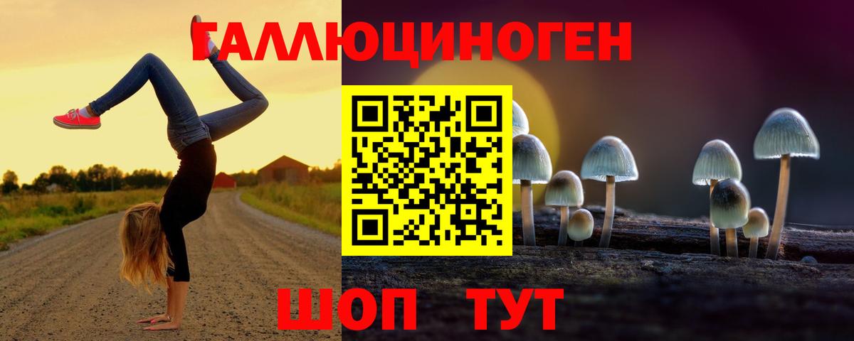 Псилоцибиновые грибы Cubensis Сосновоборск